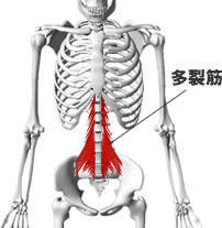 $姿勢と動きの楽笑サポーター　竹原亮紀のブログ